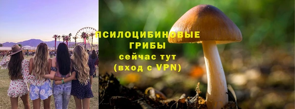синтетический гашиш Богородск