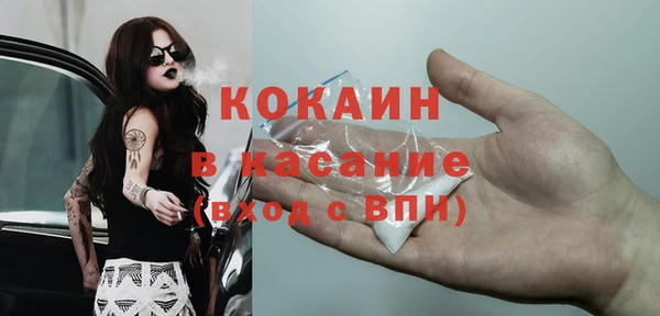 apvp Богородицк