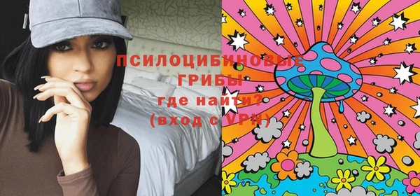 apvp Богородицк