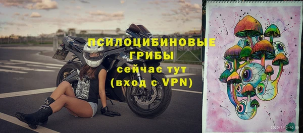 синтетический гашиш Богородск